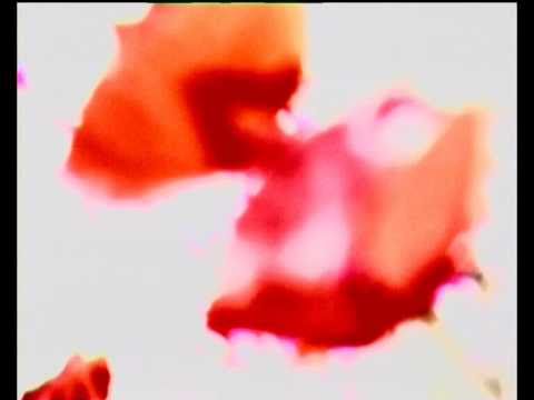 TheMagoMedia - Original video clip as a surprise from the bride to the groom.
