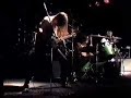 bludgeon hounds   live in champaign illinois  looking down