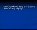 Discover The Importance Of Dog Training
