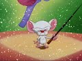 Pinky and the brain s01e12 intro