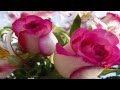 Enya - China Roses