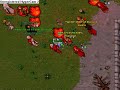 Thais x venore noob war 30/11/2008 - tibia lucera