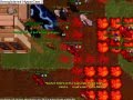 Thais x Venore Noob War 30/11/2008 - Tibia Lucera