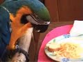Le repas d\ Le repas d\