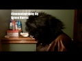 The Curfew Gorilla