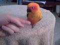 videos de Give Me Four.AVI
