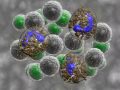 T-Cell Xtend™