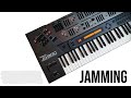 Roland JD-800 + Roland D-550 (D-50 Rack) by RetroSound
