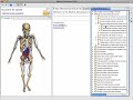 Medical Information Hub/ASME Medical Information Hub/ASME