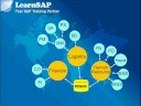 SAP Overview