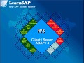 SAP Overview -  www.LearnSAP.com