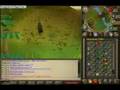 mr sjors bank 40m