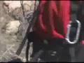 Lance Banyon - Absolutely Wild! (part one)