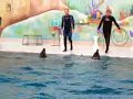 dubai dolphinarium