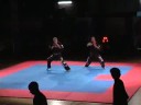USA All Stars Show, Flanders Cup 2008