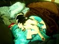 Sleeping Chihuahua (again)