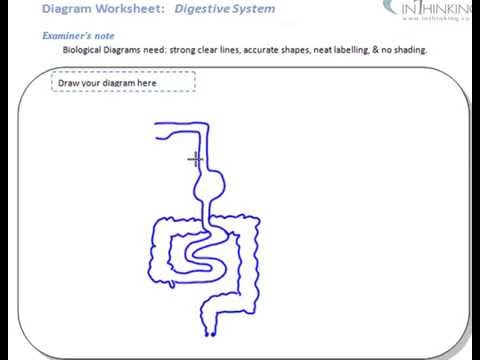 how to draw system diagram