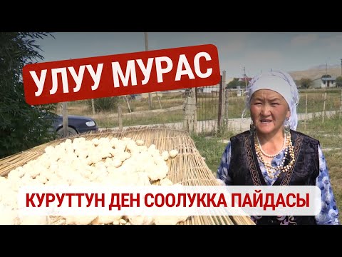 Куруттун ден соолукка пайдасы | Улуу Мурас