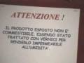 videos de Violino in Torrone
