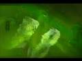 Wet Dog - Chemicals.