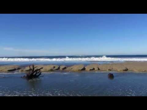 Video for San Gregorio State Beach