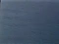 Our Eaglet Flies Over the Ocean?