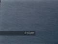 Our Eaglet Flies Over the Ocean?