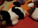 Unattended Stuffed Animals Unattended Stuffed Animals