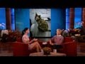 Jennifer Lawrence's New Cat