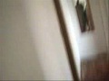 a.k.a.??!! - A F�ria da Pulga Japa