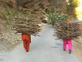 camouflage