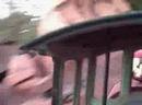 Recorded on May 17, 2008 using a Flip Video camcorder.
