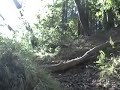 Juggs
