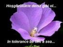 CAN AKIN - MEVLANA