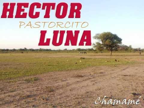 Pastorcito - chamamé en vivo •Suscribete :) •Facebook: https://www.facebook.com/chamamesantiag.