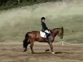 valinor dressage \