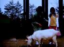 Asahiyama Doubutsuen Drama 9, Hokkaido Zoo