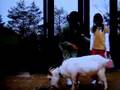 Asahiyama Doubutsuen Drama 9, Hokkaido Zoo