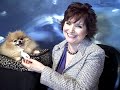 lovein90days.com Dating advice and flirting expert, Dr. Diana Kirschner, teaches you powerful flirting tips designed to help you attract and date great men! You will learn three different flirting tips based on Dr. Diana's bestselling new dating book, Love in 90 Days. For a free relationship and dating advice newsletter go to http and sign up for the free newsletter. You will get weekly free dating and relationship lessons that help you feel more confident and ready for flirting, attracting and dating the men you really want!