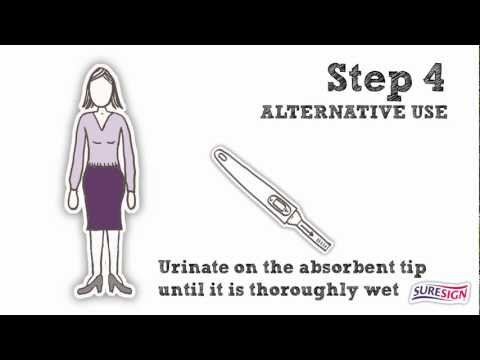 how to use pregnancy test kit