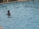 dabarkadz_2oo8
