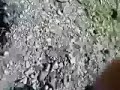 مشروع المحل الغربة  الله يوفق