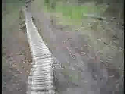 Riding at the MTB Freeride Park ...