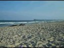 Feb 25 2008 - VID00029