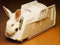 stop-animal-testing.html