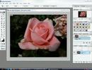video aula explicando como fazer montagens estilo cutouts
(foto toda preto e branco com apenas um detalhe colorido)
by
www.monefi.k6.com.br