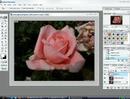 video aula explicando como fazer montagens estilo cutouts
(foto toda preto e branco com apenas um detalhe colorido)
by
www.monefi.k6.com.br