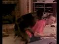 emory dog humped