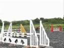 Bobby-Bay Show-Jumping FOR SALE