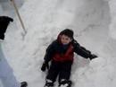 Zander\
